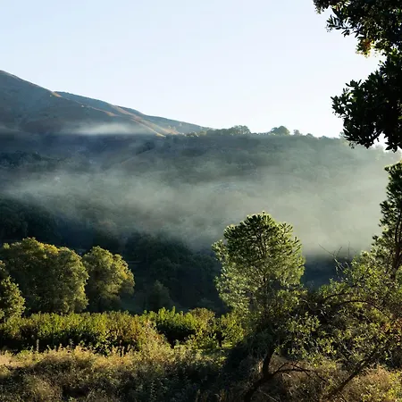 Abejas 2 De El Vergel De Chilla 펜션