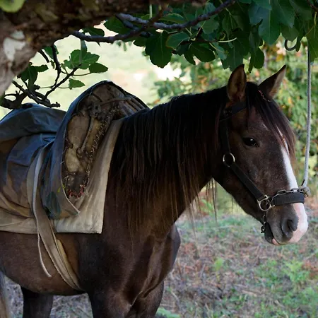 펜션 Abejas 2 De El Vergel De Chilla 칸델레다