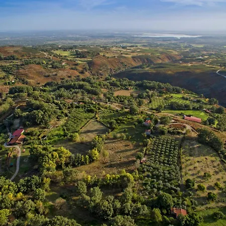 Abejas 2 De El Vergel De Chilla Candeleda