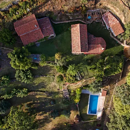 Abejas 2 De El Vergel De Chilla * 칸델레다