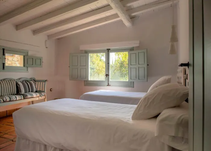 Abejas 2 De El Vergel De Chilla Candeleda