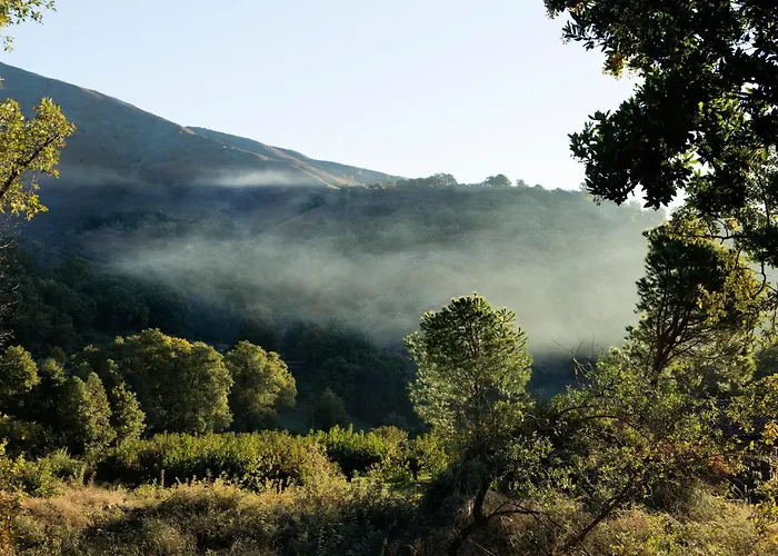 Abejas 2 De El Vergel De Chilla Hébergement de vacances