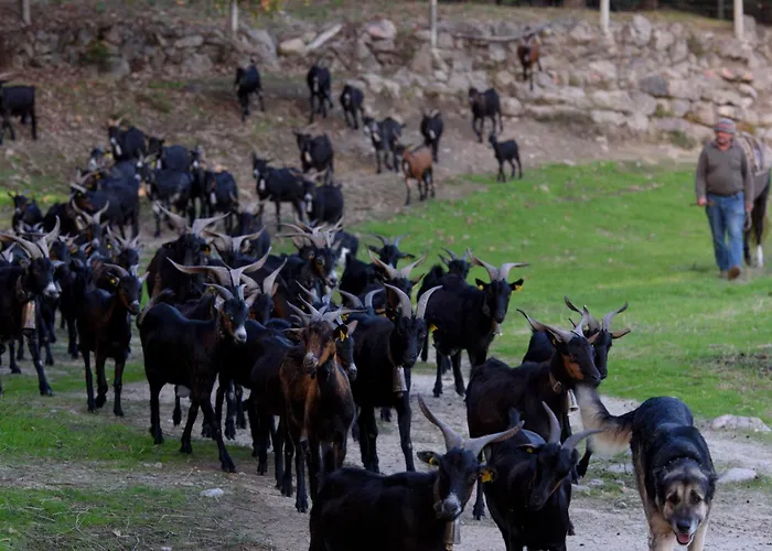 Abejas 2 De El Vergel De Chilla Hébergement de vacances Candeleda