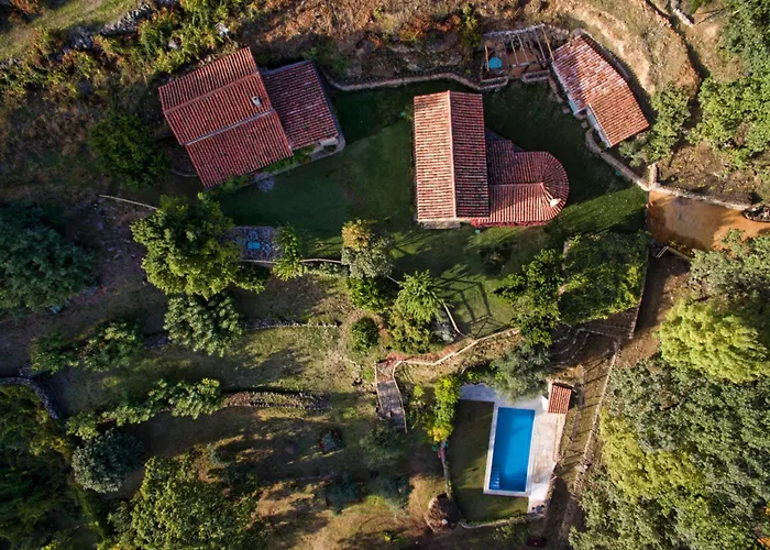 Abejas 2 De El Vergel De Chilla * 칸델레다