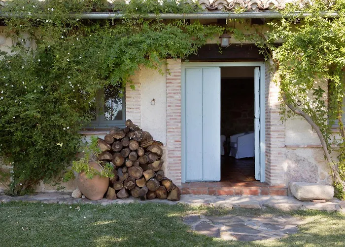 Abejas 2 De El Vergel De Chilla * Candeleda