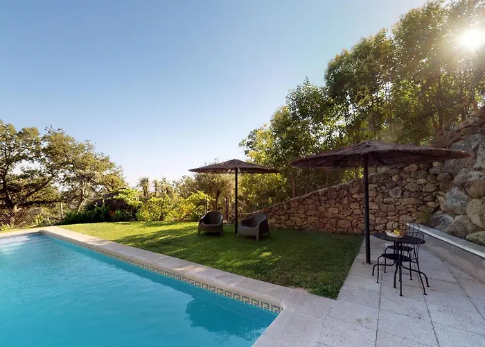 Abejas 2 De El Vergel De Chilla