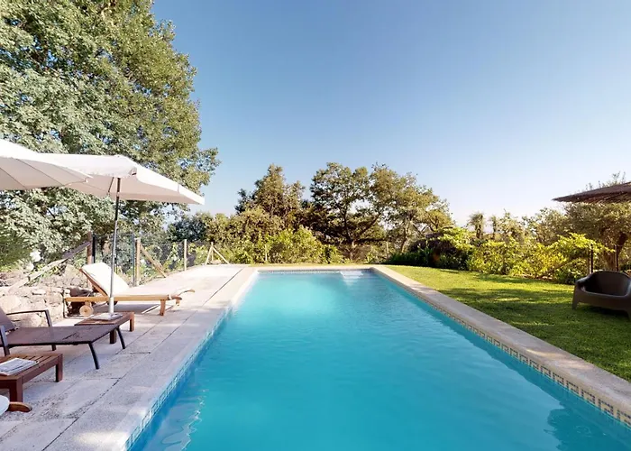 Abejas 2 De El Vergel De Chilla