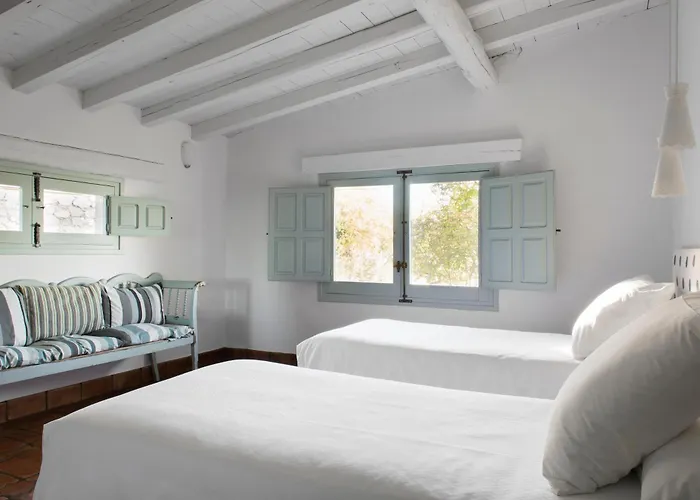 Abejas 2 De El Vergel De Chilla *